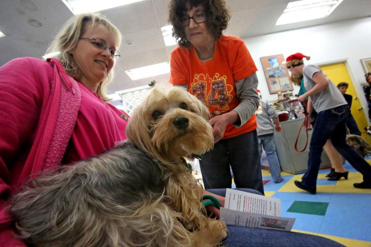 Canine valley fever vaccine