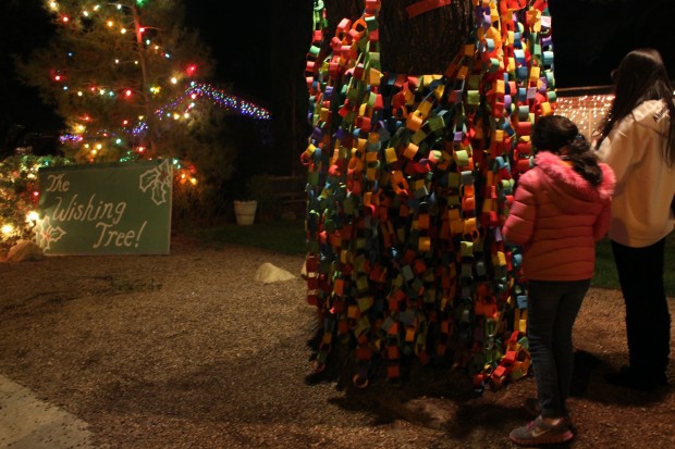2012 Winterhaven Festival of Lights