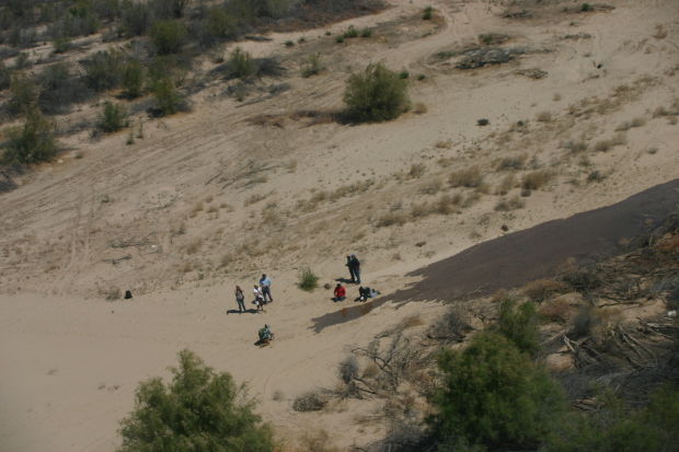 Colorado River delta