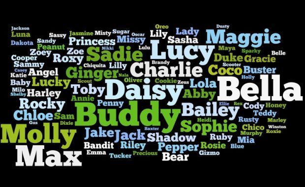 Top 100 dog names in Pima County