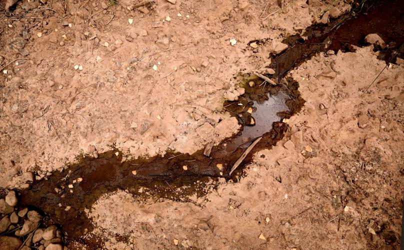 'Zero flow' recorded at key spot on Arizona's drying San Pedro River