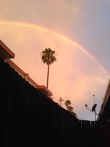 Monsoon storm aftermath