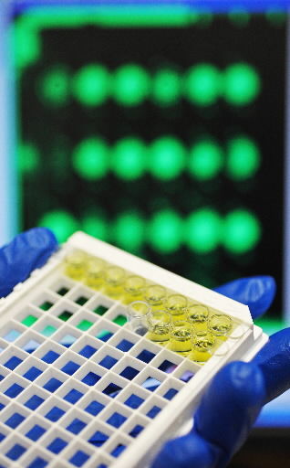 C-Path to ease process for diagnostic-test OK  