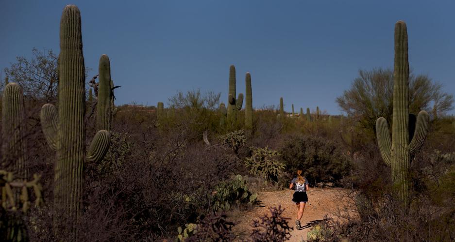 Saguaro National Park