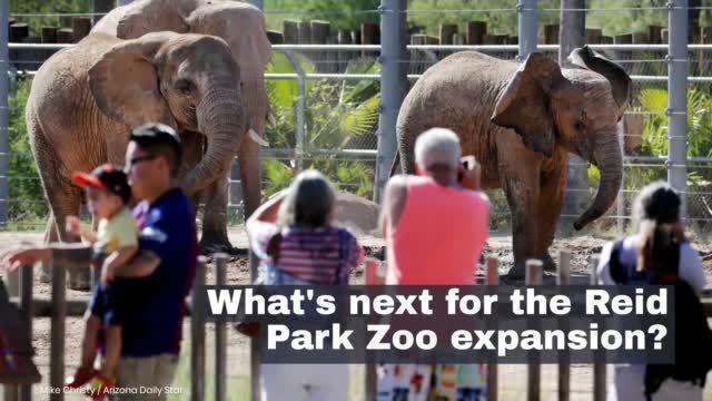 What's next for the Reid Park Zoo expansion?