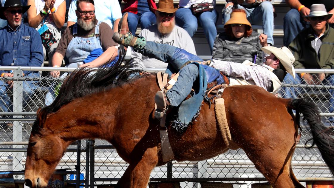 Photos: Day six events as La Fiesta de los Vaqueros Rodeo enters it's ...