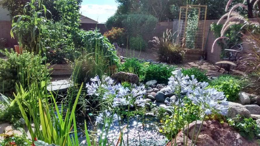 022816 SpringTours16