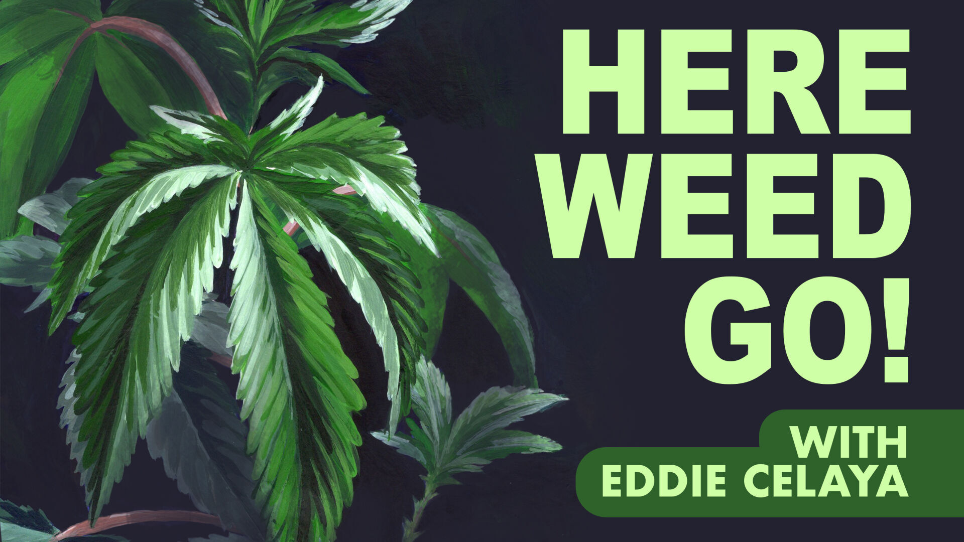 Here Weed Go! podcast has new episode