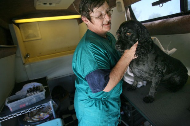 Record gas prices mean surcharges by Tucson's mobile businesses  