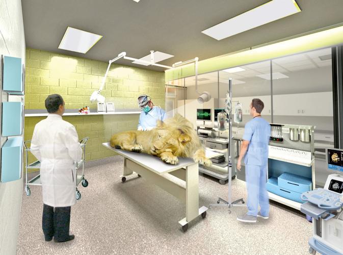 Animal Health Center