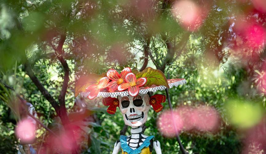 La Calavera Catrina