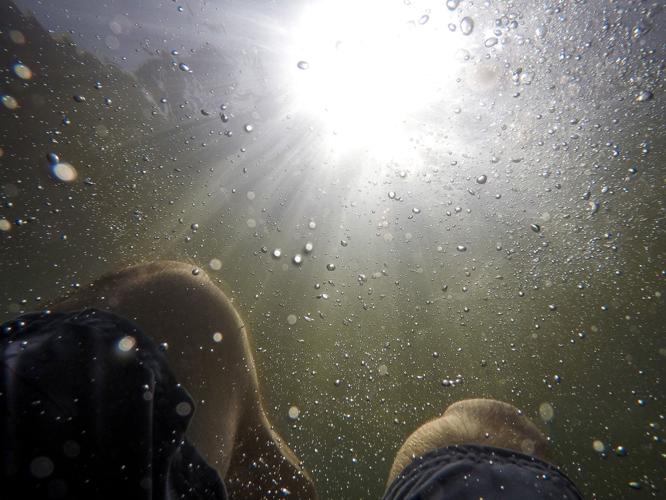 Underwater view from a swimmer at Warm Mineral Springs in North Port.