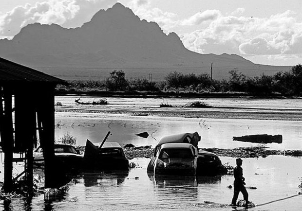 Tropical storms have hit desert  