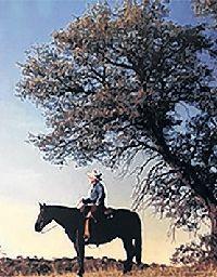 BELL, George Graham