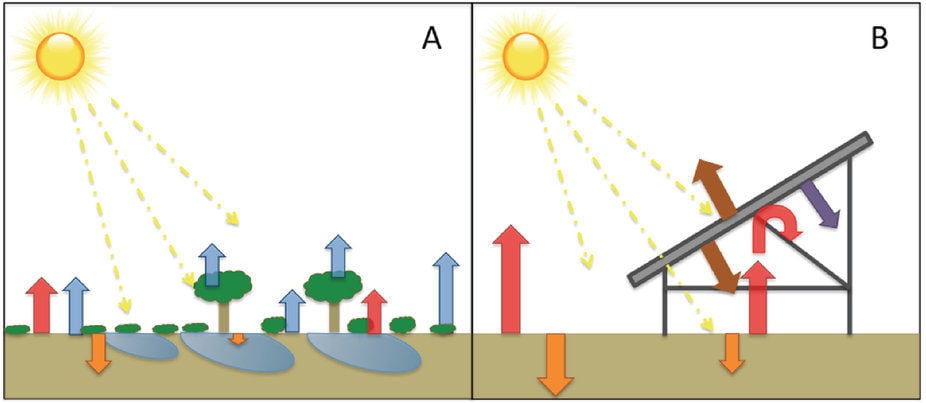 How plants dissipate heat