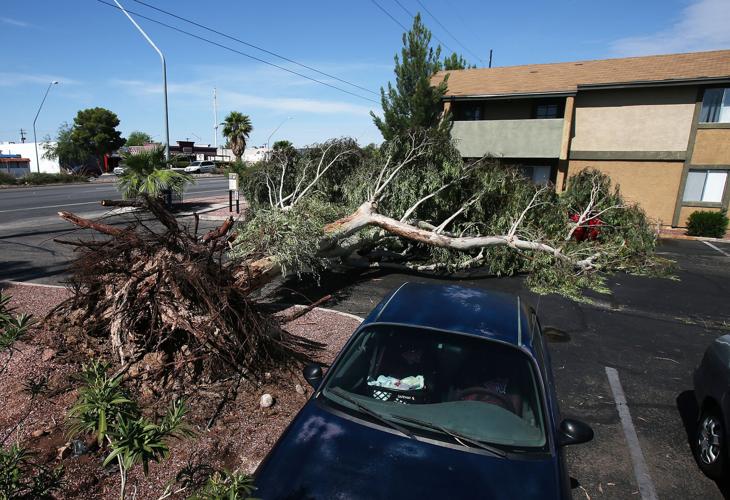 Tucson monsoon damage