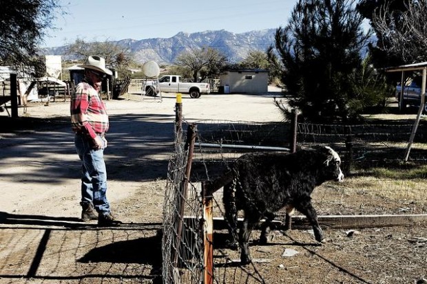 Homes may overtake old ranch  