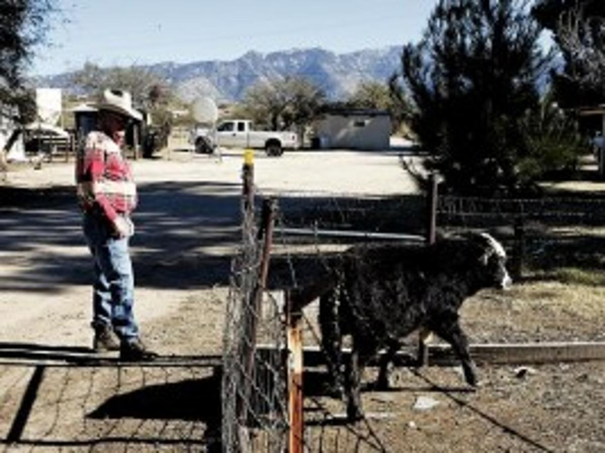 Tutorials (in Progress)big Valley Ranch Tutorials (in Progress)big Valley Ranch