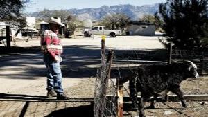 Homes may overtake old ranch