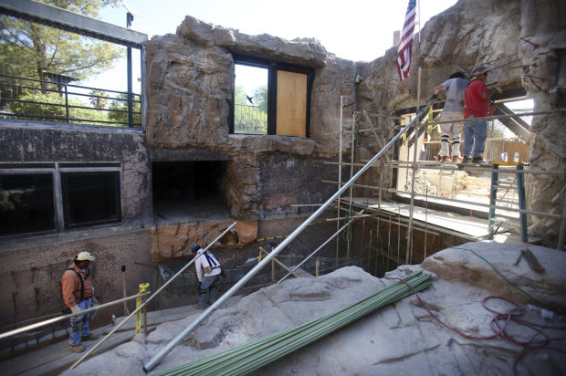 Up to 3 Alaska brown bears will call Reid Park Zoo home    