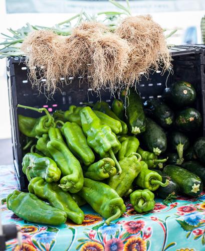 Rillito Park Farmers Market