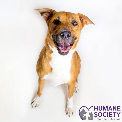 Adopt a friend: Lydia