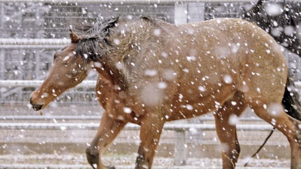 Snowfall around Tucson