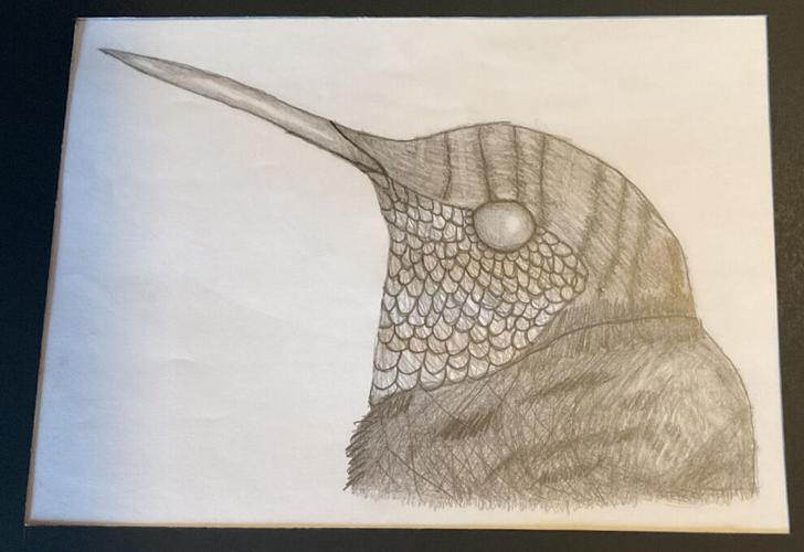 Tucson Festival of Books Young Authors and Young Artists winners announced