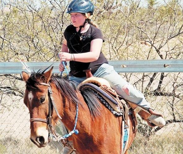 Horse camp for young riders  