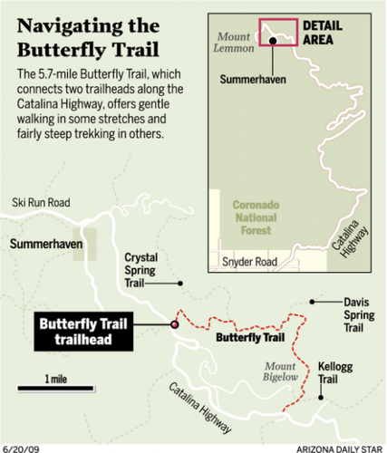 Butterfly Trail: Beauty and the Butterfly  