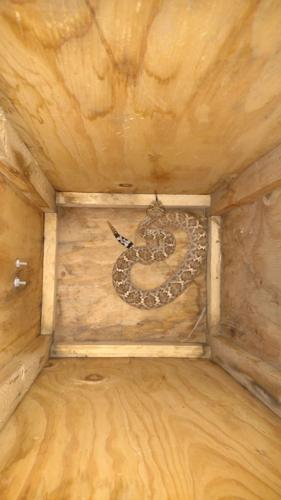 Monsoon photo contest