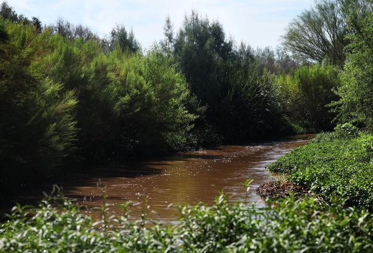 Santa Cruz River at Sanders Road crossing
