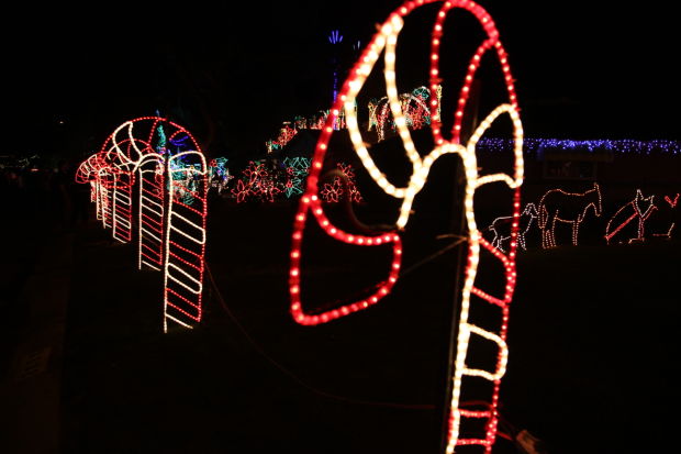 Winterhaven Festival of Lights 2013