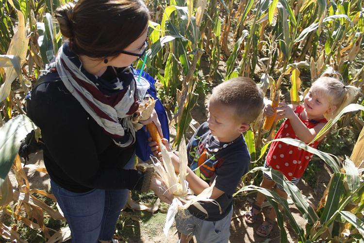 Harvest Festival