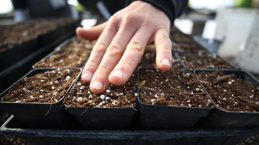 Las Milpitas Community Garden