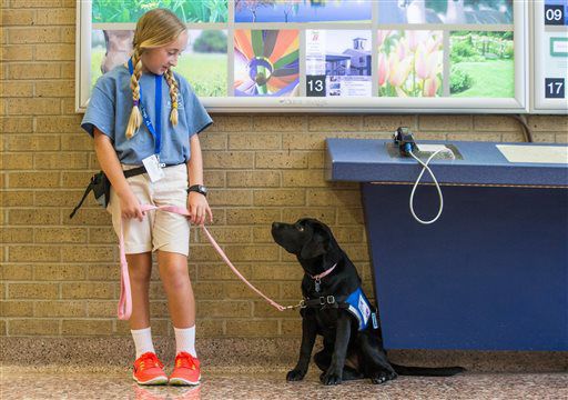 Assistance dog trainees put skills to the test at Eppley