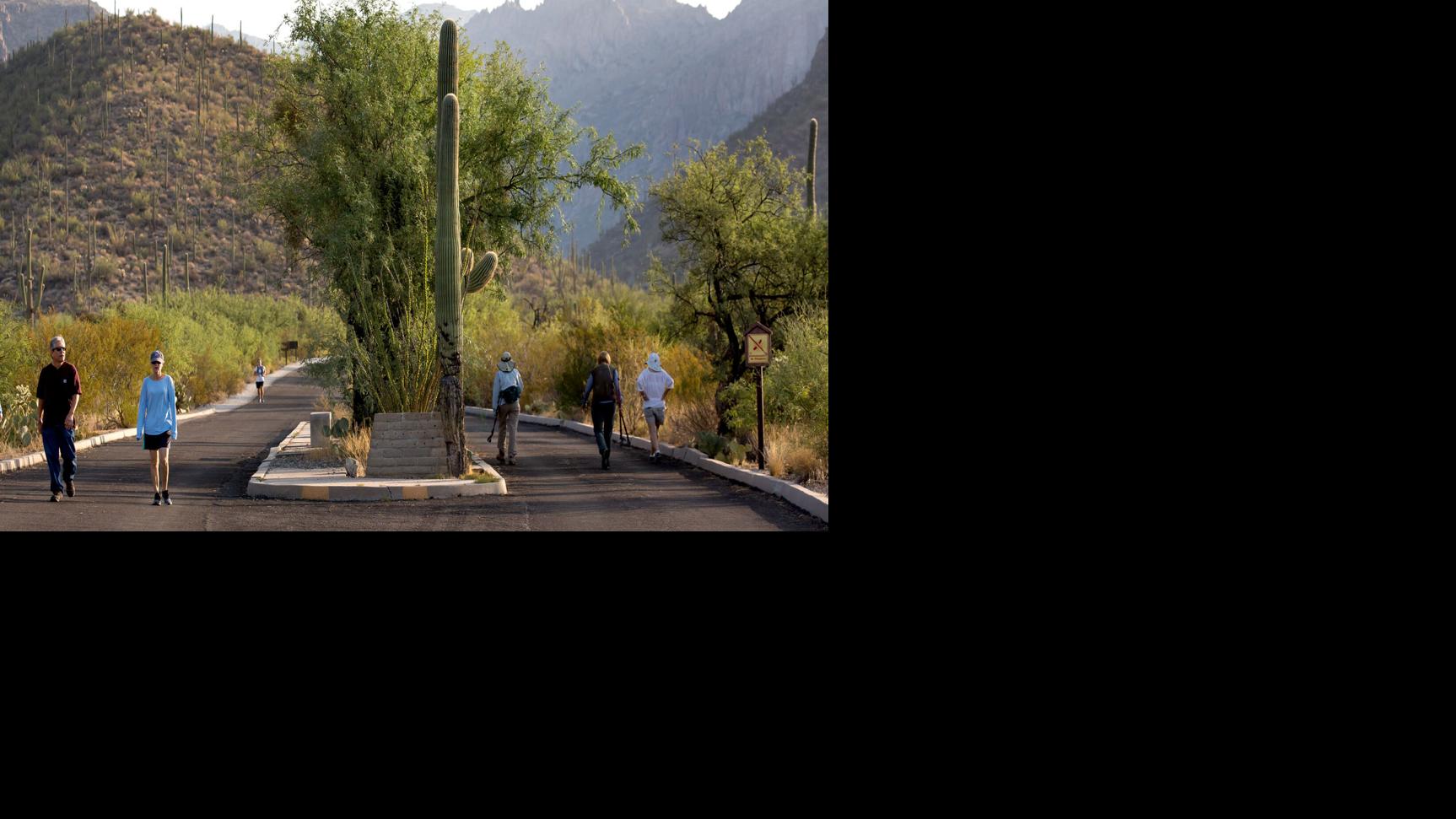 36 fun things to do in Tucson this July 2021 to do