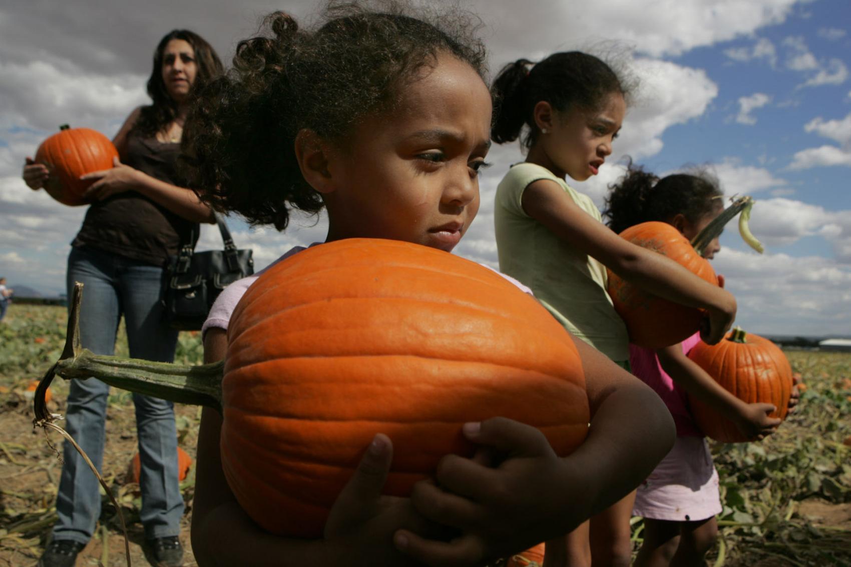 Buckelew Farm will permanently close its pumpkin patch and pumpkin
