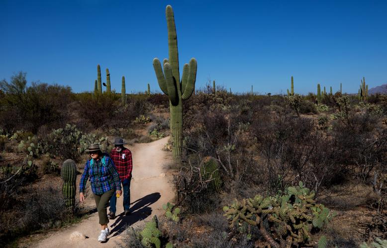 Cactus Forest Trail