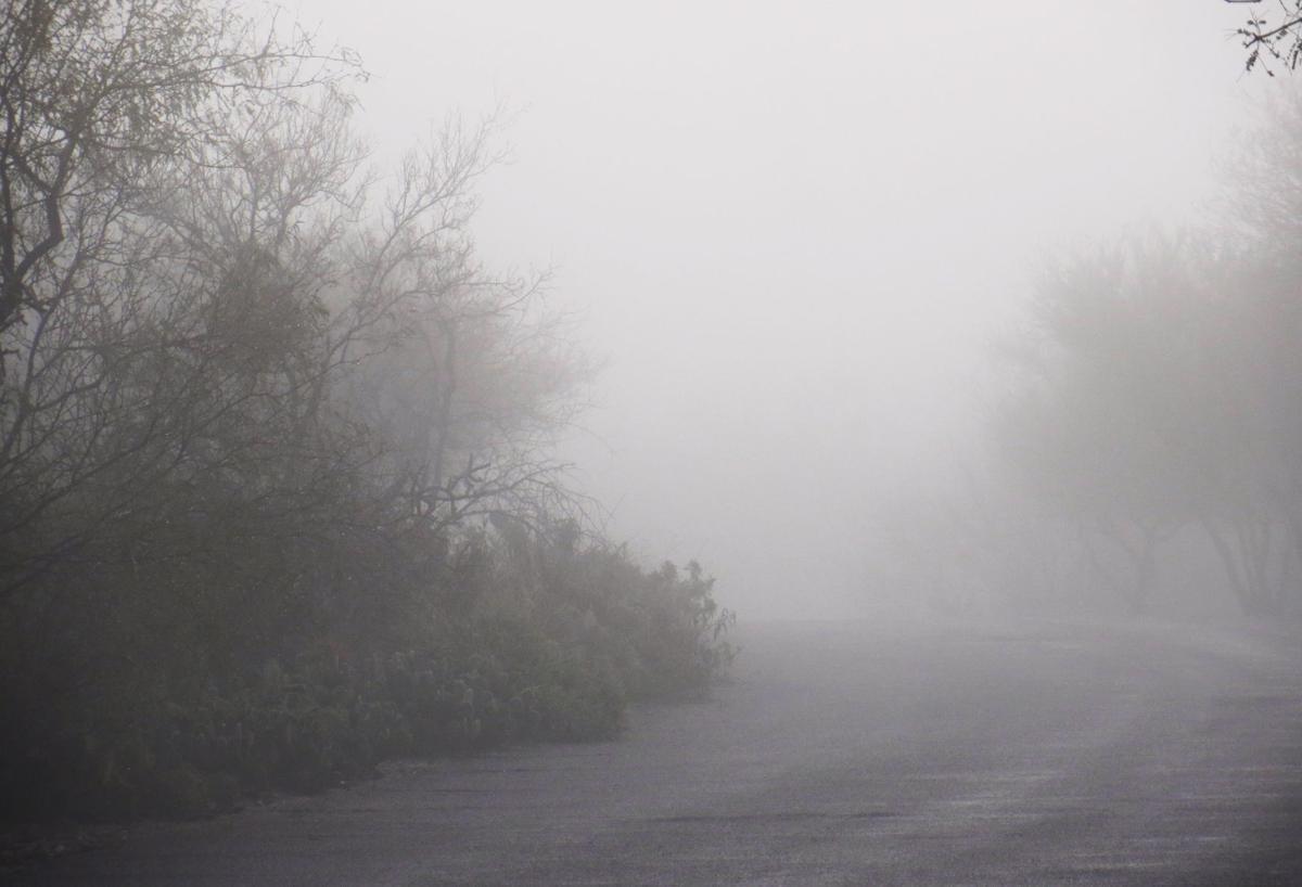 Photos Rain, fog, snow