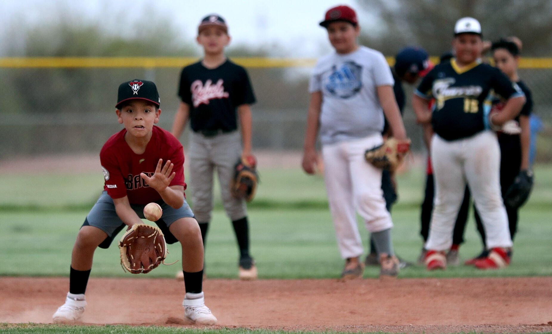 youth baseball tucson