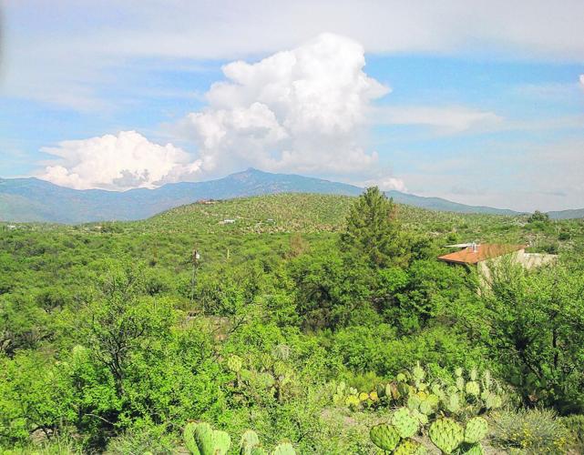 Street Smarts: Camino de Ruiz