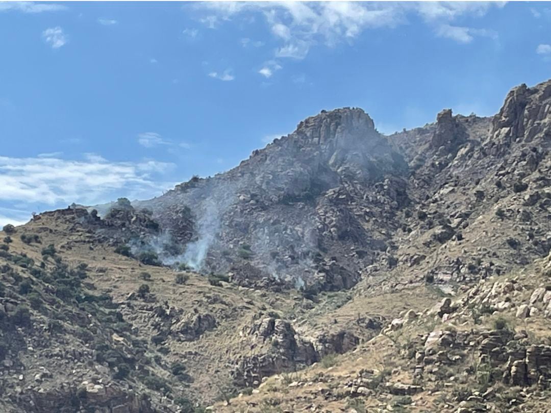 Progress of wildfire near Tucson halted, nearly half contained