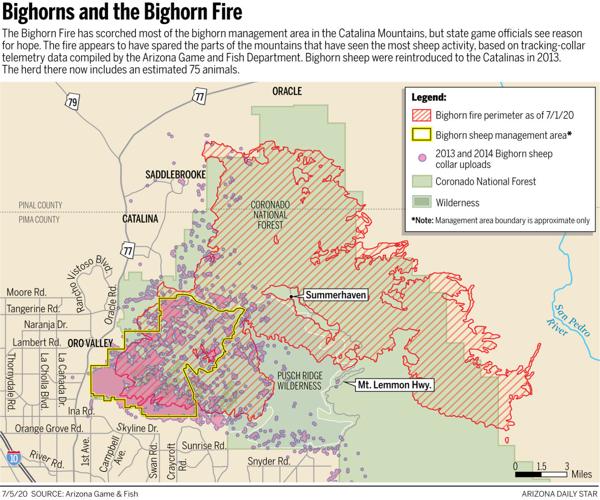 Tucson's Bighorn Fire: More than 119,000 acres burned, blaze 75% contained