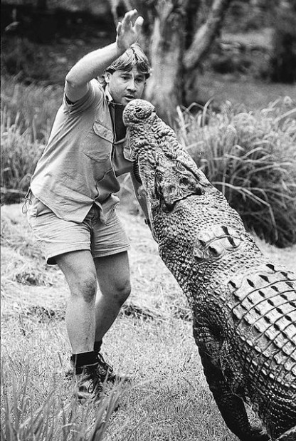 Hunt is on to fill void left by 'Crocodile Hunter' loss  