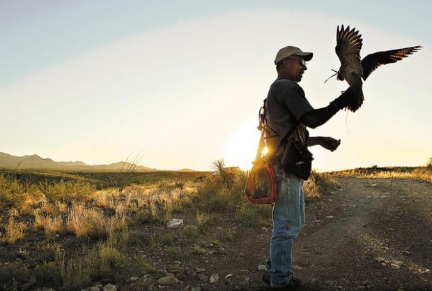 Falconry master  