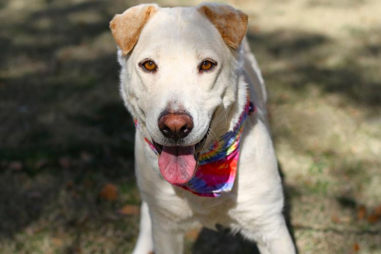 Adopt A Friend: Bri Bri