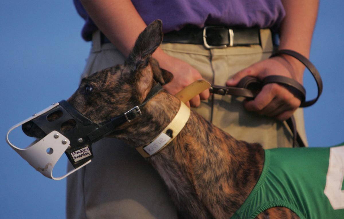 Tucson Greyhound Park