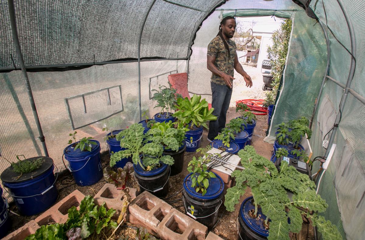 Want A Challenge Try Growing Greens In Desert Year Round Home