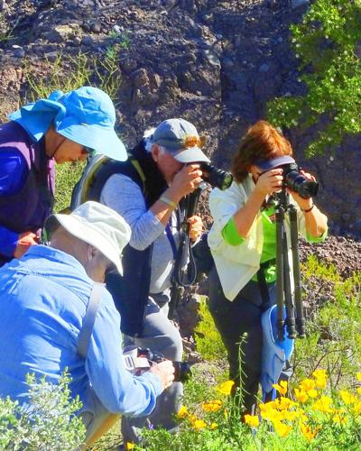 Bill-Johnston-Claire-Cordon-Bernie-Nagy-and-Susan-Dinga-setting-their-cameras-for-a-perfect-wildflower-shot-Photo-by-Linda-Nagy.jpg